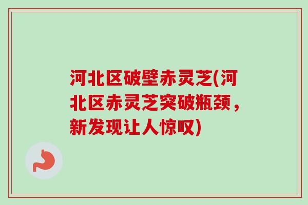 河北区破壁赤灵芝(河北区赤灵芝突破瓶颈，新发现让人惊叹)