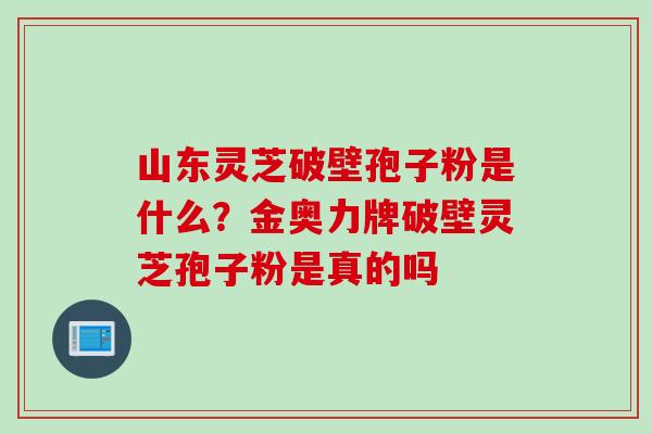 山东灵芝破壁孢子粉是什么？金奥力牌破壁灵芝孢子粉是真的吗