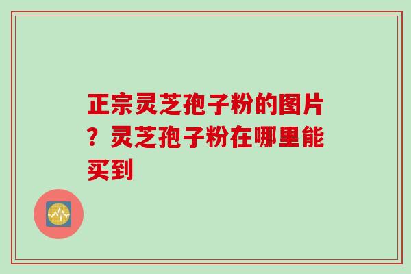 正宗灵芝孢子粉的图片?灵芝孢子粉在哪里能买到 正宗灵芝孢子粉的图片?灵芝孢子粉在哪里能买到