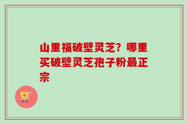 山里福破壁灵芝？哪里买破壁灵芝孢子粉最正宗