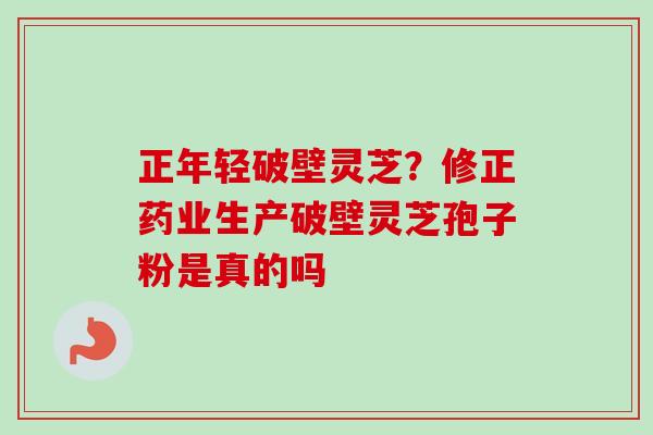 正年轻破壁灵芝?修正药业生产破壁灵芝孢子粉是真的吗 正年轻破壁灵芝?修正药业生产破壁灵芝孢子粉是真的吗