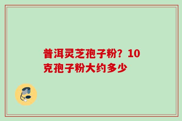 普洱灵芝孢子粉？10克孢子粉大约多少