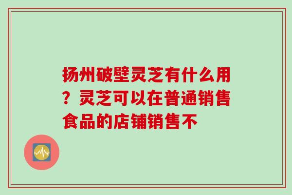 扬州破壁灵芝有什么用？灵芝可以在普通销售食品的店铺销售不