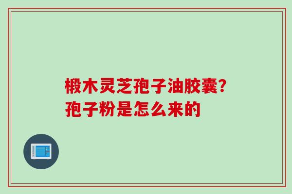 椴木灵芝孢子油胶囊?孢子粉是怎么来的 椴木灵芝孢子油胶囊?孢子粉是怎么来的