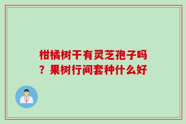 柑橘树干有灵芝孢子吗？果树行间套种什么好