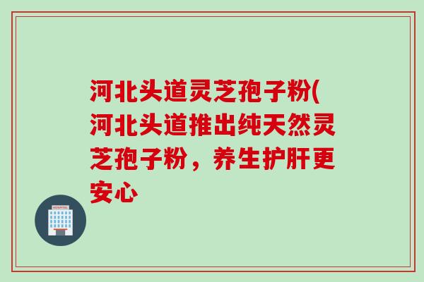 河北头道灵芝孢子粉(河北头道推出纯天然灵芝孢子粉，养生护肝更安心