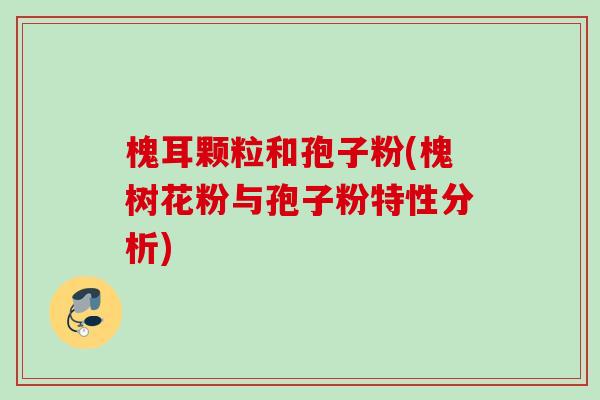槐耳颗粒和孢子粉(槐树花粉与孢子粉特性分析)