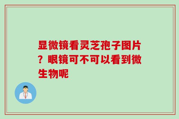 显微镜看灵芝孢子图片？眼镜可不可以看到微生物呢