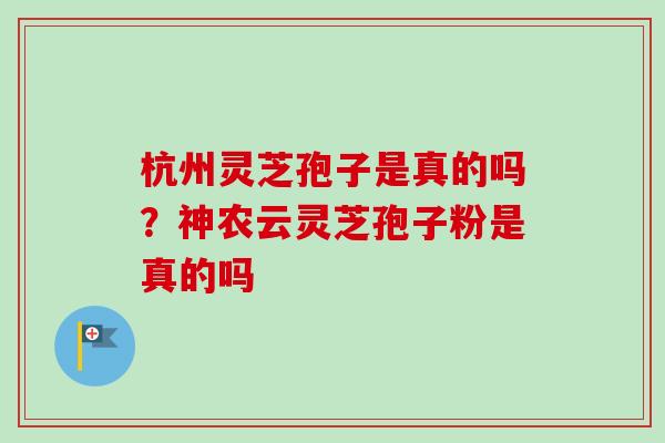 杭州灵芝孢子是真的吗？神农云灵芝孢子粉是真的吗