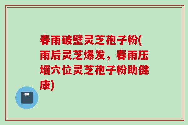 春雨破壁灵芝孢子粉(雨后灵芝爆发，春雨压墙穴位灵芝孢子粉助健康)