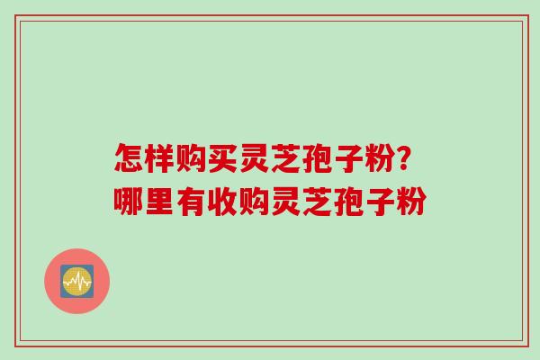 怎样购买灵芝孢子粉？哪里有收购灵芝孢子粉
