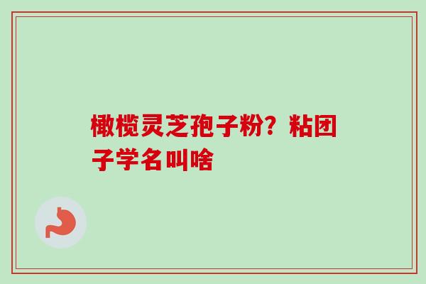 橄榄灵芝孢子粉？粘团子学名叫啥