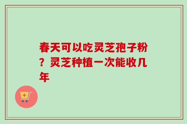 春天可以吃灵芝孢子粉？灵芝种植一次能收几年