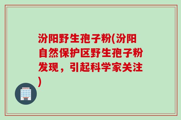 汾阳野生孢子粉(汾阳自然保护区野生孢子粉发现,引起科学家关注) 汾阳野生孢子粉(汾阳自然保护区野生孢子粉发现,引起科学家关注)