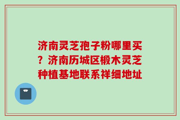 济南灵芝孢子粉哪里买？济南历城区椴木灵芝种植基地联系祥细地址