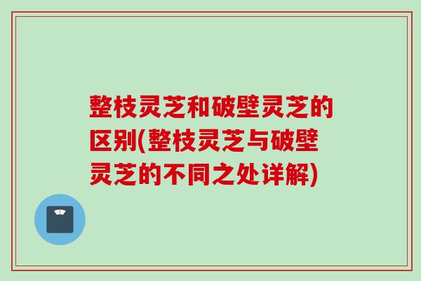 整枝灵芝和破壁灵芝的区别(整枝灵芝与破壁灵芝的不同之处详解)