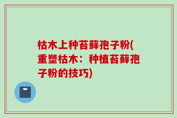 枯木上种苔藓孢子粉(重塑枯木：种植苔藓孢子粉的技巧)