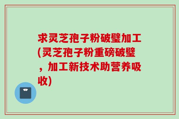 求灵芝孢子粉破璧加工(灵芝孢子粉重磅破璧,加工新技术助营养吸收) 求灵芝孢子粉破璧加工(灵芝孢子粉重磅破璧,加工新技术助营养吸收)