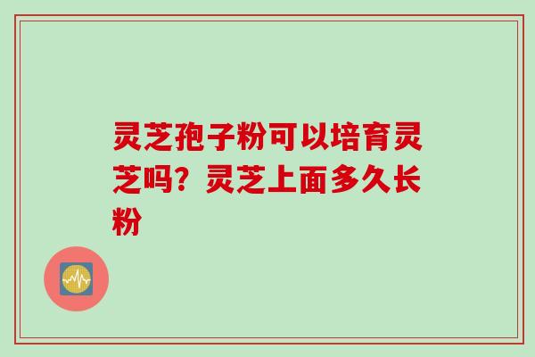 灵芝孢子粉可以培育灵芝吗？灵芝上面多久长粉