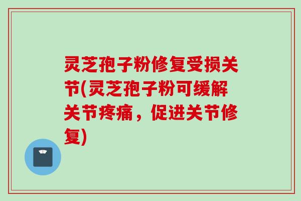 灵芝孢子粉修复受损关节(灵芝孢子粉可缓解关节疼痛，促进关节修复)