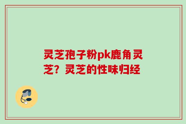 灵芝孢子粉pk鹿角灵芝？灵芝的性味归经