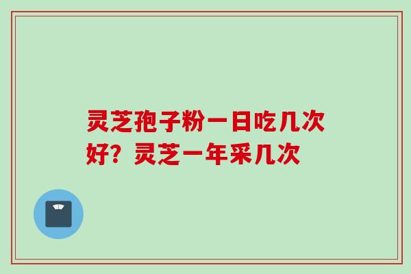 灵芝孢子粉一日吃几次好?灵芝一年采几次 灵芝孢子粉一日吃几次好?灵芝一年采几次