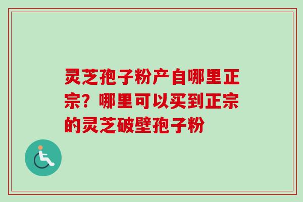 灵芝孢子粉产自哪里正宗？哪里可以买到正宗的灵芝破壁孢子粉