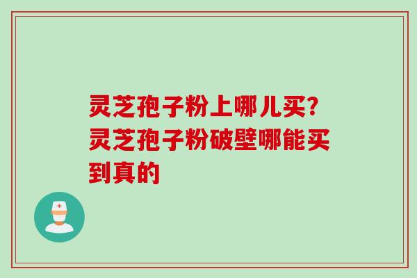 灵芝孢子粉上哪儿买？灵芝孢子粉破壁哪能买到真的