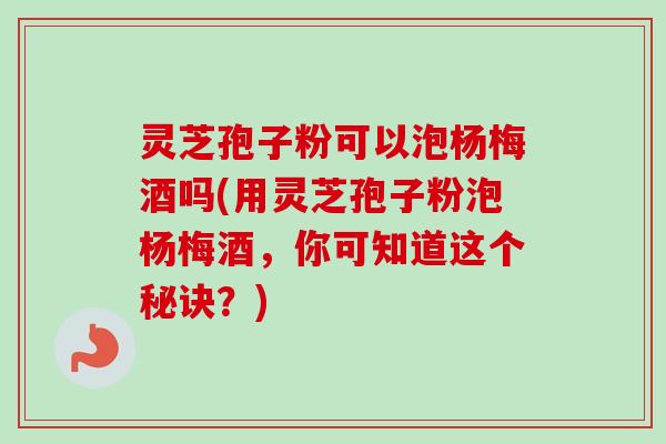 灵芝孢子粉可以泡杨梅酒吗(用灵芝孢子粉泡杨梅酒，你可知道这个秘诀？)