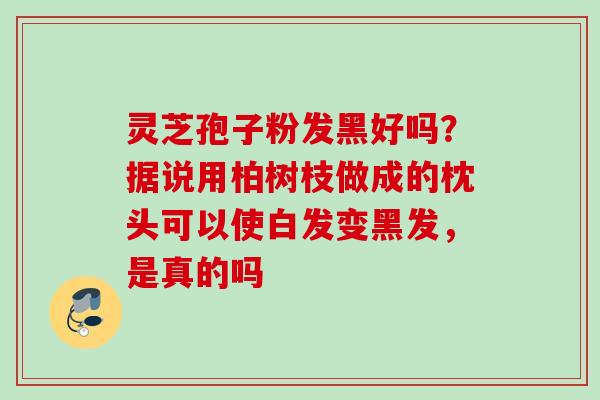 灵芝孢子粉发黑好吗？据说用柏树枝做成的枕头可以使白发变黑发，是真的吗
