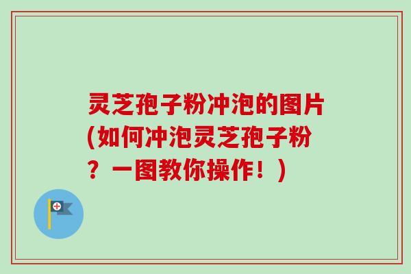灵芝孢子粉冲泡的图片(如何冲泡灵芝孢子粉？一图教你操作！)