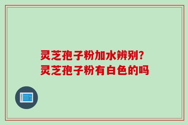 灵芝孢子粉加水辨别？灵芝孢子粉有白色的吗