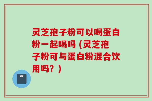 灵芝孢子粉可以喝蛋白粉一起喝吗 (灵芝孢子粉可与蛋白粉混合饮用吗？)