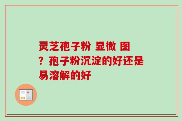 灵芝孢子粉 显微 图？孢子粉沉淀的好还是易溶解的好