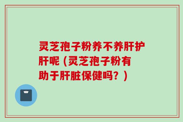 灵芝孢子粉养不养肝护肝呢 (灵芝孢子粉有助于肝脏保健吗？)