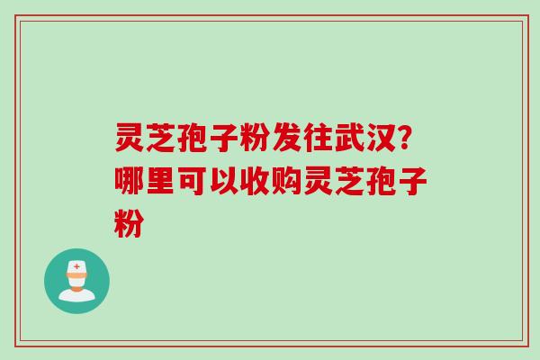 灵芝孢子粉发往武汉？哪里可以收购灵芝孢子粉