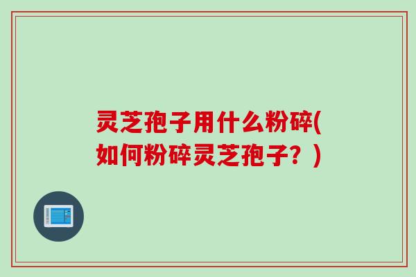灵芝孢子用什么粉碎(如何粉碎灵芝孢子？)