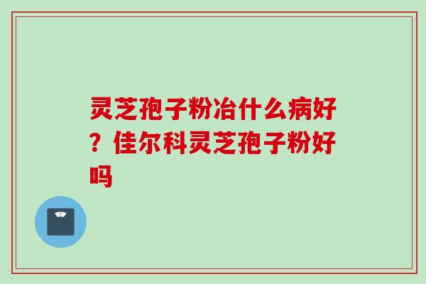 灵芝孢子粉冶什么病好？佳尔科灵芝孢子粉好吗