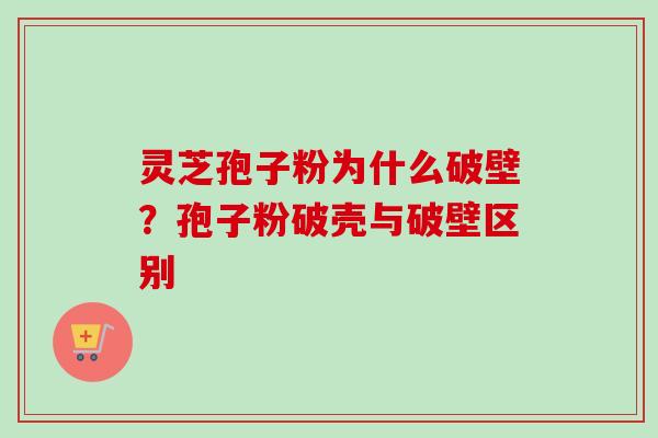 灵芝孢子粉为什么破壁？孢子粉破壳与破壁区别