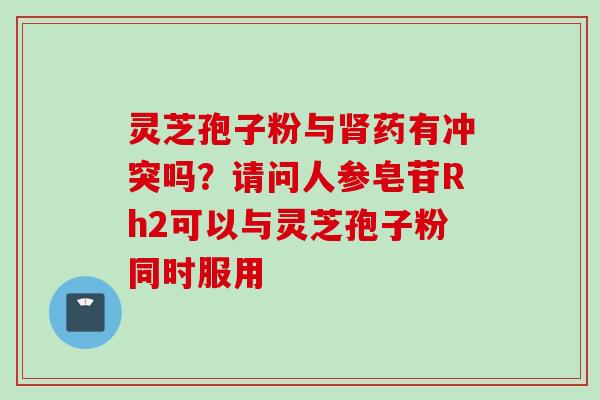 灵芝孢子粉与肾药有冲突吗？请问人参皂苷Rh2可以与灵芝孢子粉同时服用