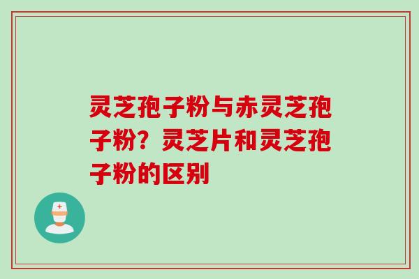 灵芝孢子粉与赤灵芝孢子粉？灵芝片和灵芝孢子粉的区别