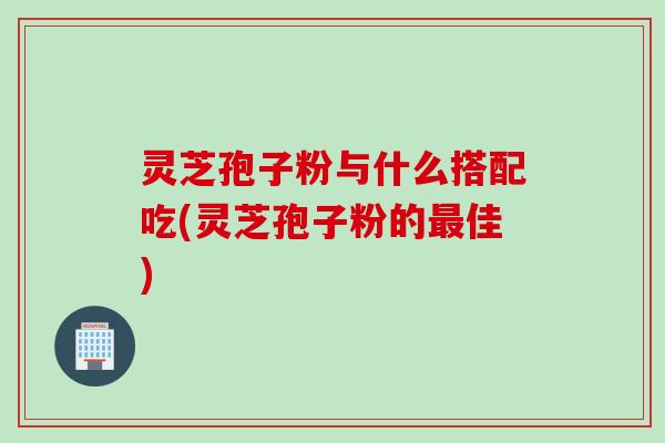 灵芝孢子粉与什么搭配吃(灵芝孢子粉的最佳)