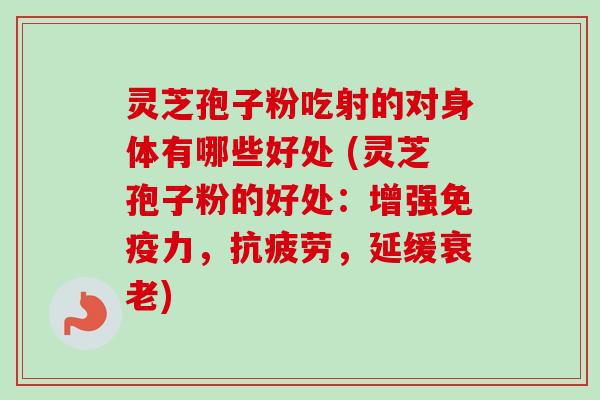 灵芝孢子粉吃射的对身体有哪些好处 (灵芝孢子粉的好处：增强免疫力，抗疲劳，延缓衰老)