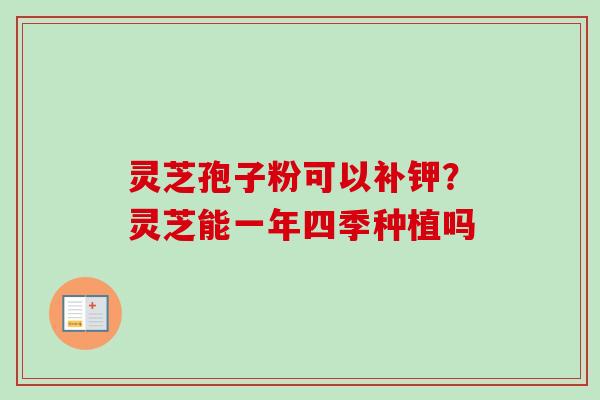 灵芝孢子粉可以补钾？灵芝能一年四季种植吗