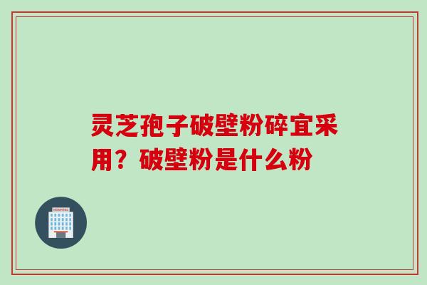 灵芝孢子破壁粉碎宜采用？破壁粉是什么粉