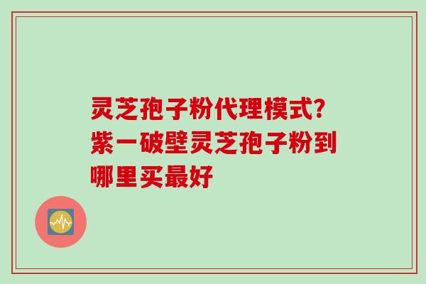灵芝孢子粉代理模式？紫一破壁灵芝孢子粉到哪里买最好
