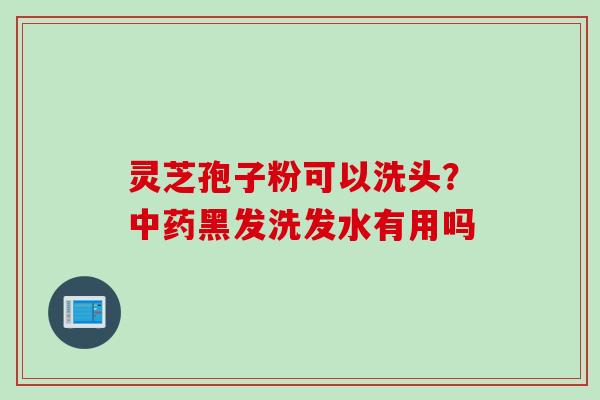 灵芝孢子粉可以洗头？中药黑发洗发水有用吗