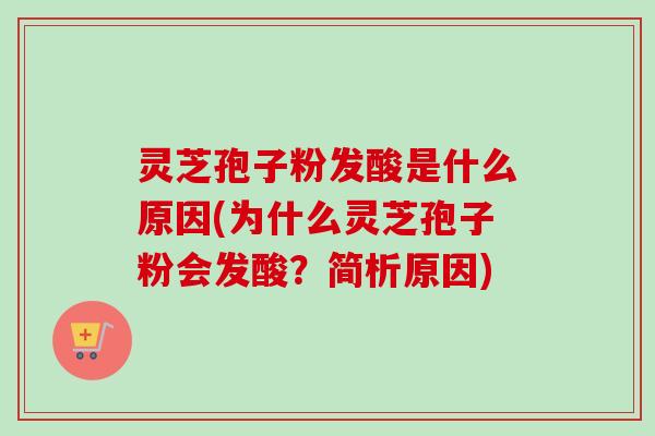 灵芝孢子粉发酸是什么原因(为什么灵芝孢子粉会发酸？简析原因)