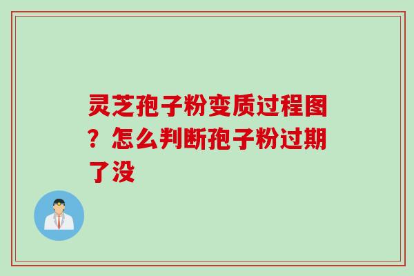 灵芝孢子粉变质过程图？怎么判断孢子粉过期了没