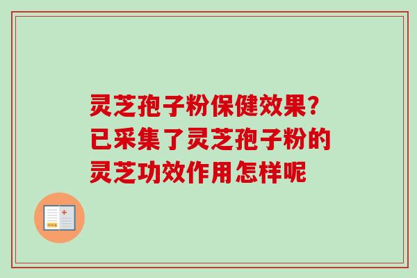 灵芝孢子粉保健效果？已采集了灵芝孢子粉的灵芝功效作用怎样呢